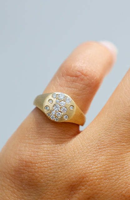 Scattered Diamond Small Signet Ring